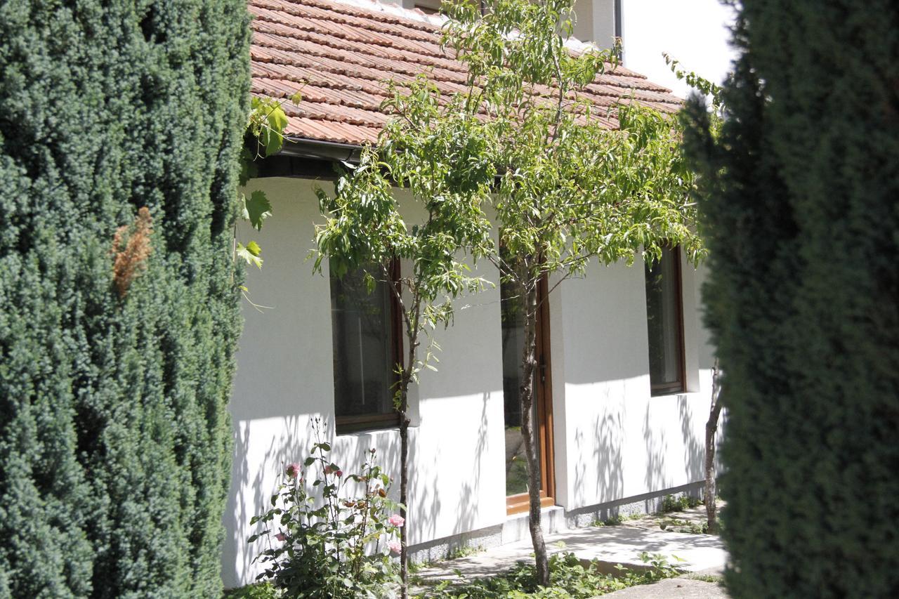 Garden Guesthouse Gjakova Zewnętrze zdjęcie